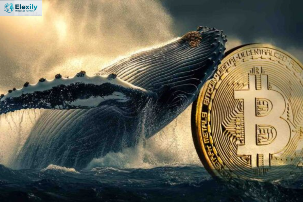 bitcoin whale $9.5 billion crypto sale