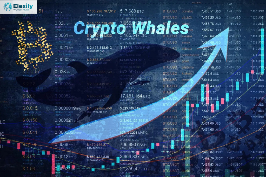 bitcoin whale $9.5 billion crypto sale