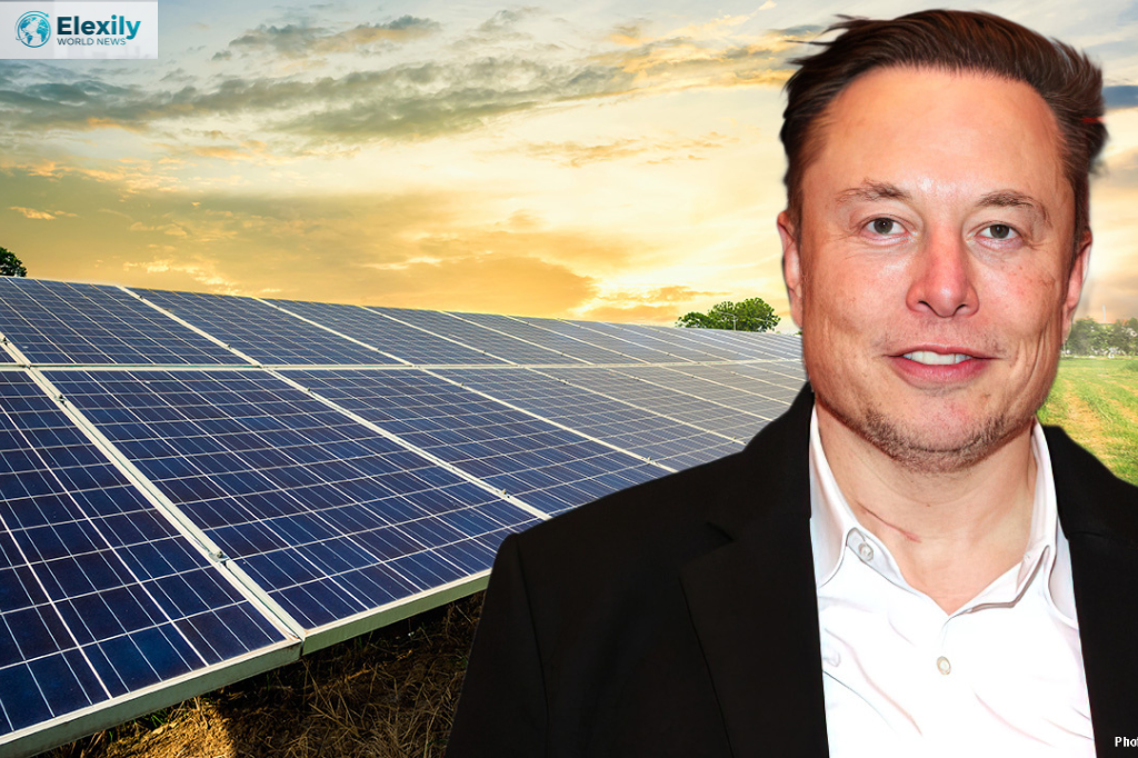 elon musk solar energy warning